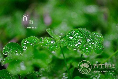 2019年谷雨是哪天?