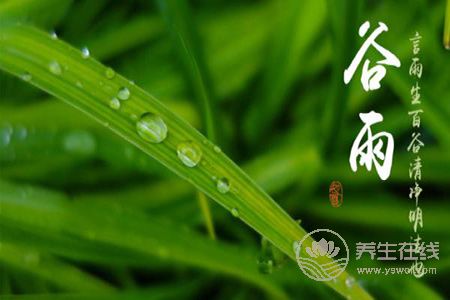 2019年谷雨是幾月幾號? 2019年谷雨是幾月幾號?