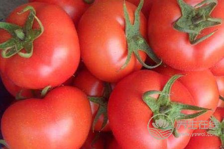 大暑的飲食習俗有哪些?