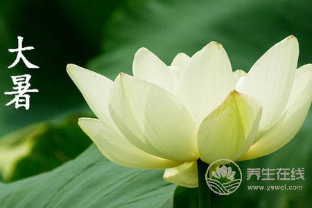 大暑是什么季節?-易網<a href=http://www.jsjjzhkt.cn/ target=_blank class=infotextkey>健康養生</a>網 大暑是什么季節?