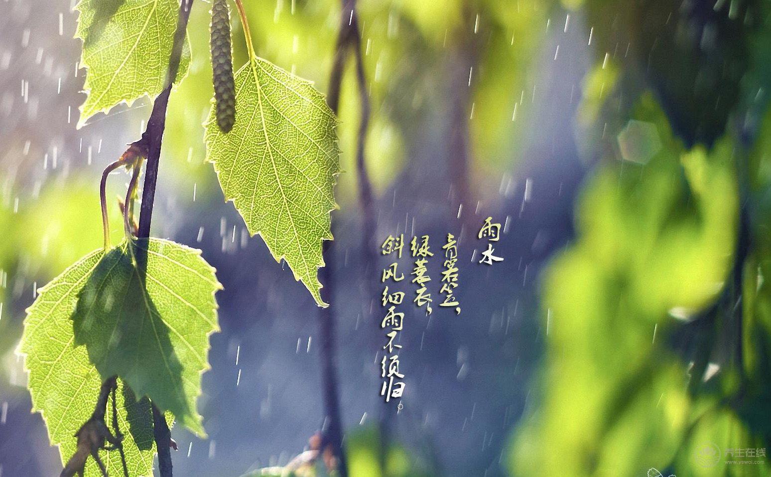 雨水節(jié)氣吃這七道菜最養(yǎng)生-易網(wǎng)健康養(yǎng)生網(wǎng) 雨水節(jié)氣吃這七道菜最養(yǎng)生