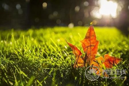 2019年立秋幾點幾分?立秋有哪些節氣習俗?-易網<a href=http://www.jsjjzhkt.cn/ target=_blank class=infotextkey>健康養生</a>網 2019年立秋幾點幾分?立秋有哪些節氣習俗?