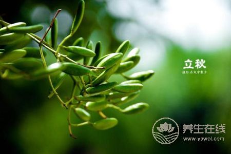 2019年立秋幾點幾分?立秋有哪些節氣習俗?-易網健康養生網 2019年立秋幾點幾分?立秋有哪些節氣習俗?