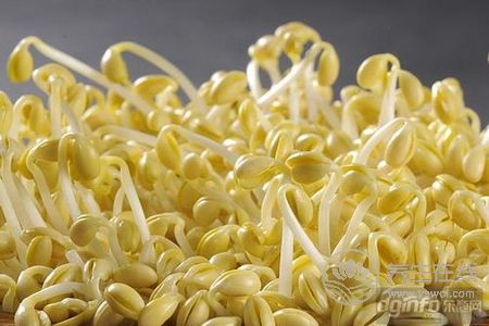 立秋吃什么好?立秋養(yǎng)生食療粥有哪些?