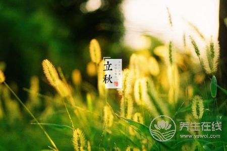 立秋節(jié)氣吃什么?立秋短信祝福語有哪些?