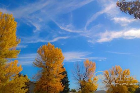 立秋后天氣還要熱多久?-易網健康<a href=http://www.jsjjzhkt.cn/jkys/ target=_blank class=infotextkey>養生</a>網 立秋后天氣還要熱多久?