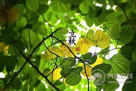 立秋后天氣還要熱多久?-易網健康養生網 立秋后天氣還要熱多久?