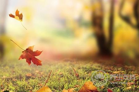 立秋時間是啥時候?立秋如何養生?-易網<a href=http://www.jsjjzhkt.cn/ target=_blank class=infotextkey>健康養生</a>網 立秋時間是啥時候?立秋如何養生?