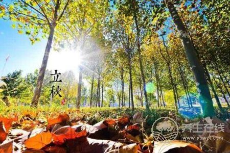 立秋由來(lái)是什么?立秋立秋養(yǎng)生食譜有哪些?