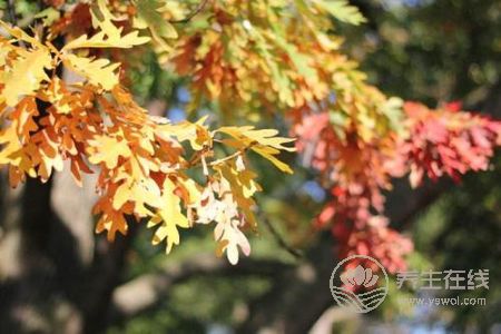 立秋后天氣還要熱多久?-易網<a href=http://www.jsjjzhkt.cn/ target=_blank class=infotextkey>健康養生</a>網 立秋后天氣還要熱多久?