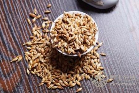 立秋吃什么好?立秋養(yǎng)生食療粥有哪些?