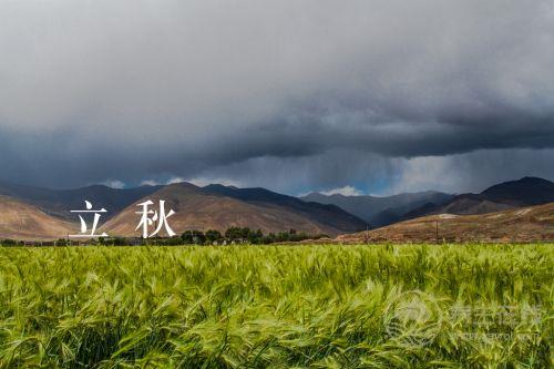 專家支招：立秋后要小心陰暑