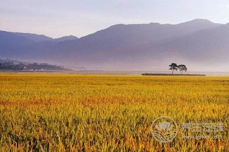 立秋由來(lái)是什么?立秋立秋養(yǎng)生食譜有哪些?