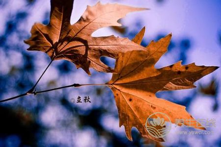 2019年立秋幾點幾分?立秋有哪些節氣習俗?-易網健康養生網 2019年立秋幾點幾分?立秋有哪些節氣習俗?