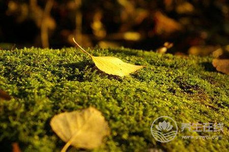 立秋是什么時候?秋補需要注意什么?-易網<a href=http://www.jsjjzhkt.cn/ target=_blank class=infotextkey>健康養生</a>網 立秋是什么時候?秋補需要注意什么?