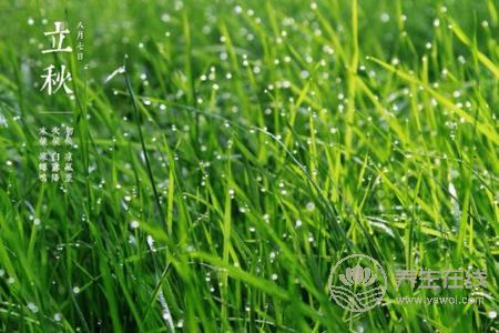 立秋是什么時候?秋補需要注意什么?-易網健康養生網 立秋是什么時候?秋補需要注意什么?