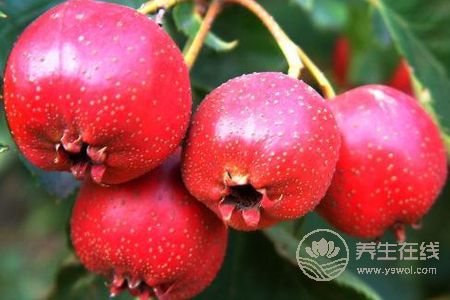 立秋如何養生保健呢?立秋吃什么好?-易網健康養生網 立秋如何養生保健呢?立秋吃什么好?