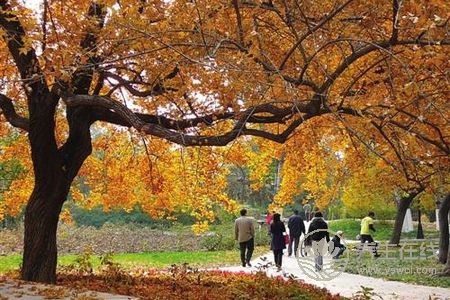 立秋養生禁忌有哪些?立秋吃什么不能吃什么?-易網<a href=http://www.jsjjzhkt.cn/ target=_blank class=infotextkey>健康養生</a>網 立秋養生禁忌有哪些?立秋吃什么不能吃什么?