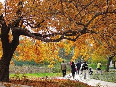 立秋養生禁忌有哪些?立秋吃什么不能吃什么?