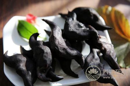 處暑吃哪些蔬菜好?處暑有哪些蔬菜有健脾胃的功效?-易網健康養生網 處暑吃哪些蔬菜好?處暑有哪些蔬菜有健脾胃的功效?