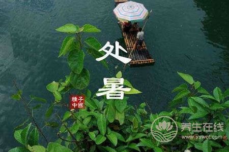 處暑節氣的特點是什么?什么是處暑呢?