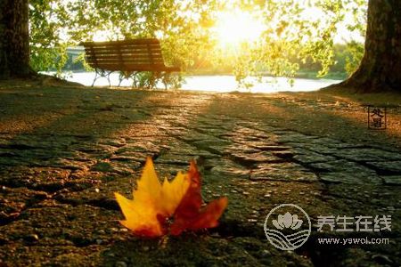 處暑為什么要吃鴨?處暑養(yǎng)生原則有哪些?-易網(wǎng)健康養(yǎng)生網(wǎng) 處暑為什么要吃鴨?處暑養(yǎng)生原則有哪些?