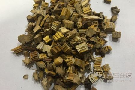 處暑養生適合吃哪些中藥呢?處暑養生注意事項有哪些?-易網健康養生網 處暑養生適合吃哪些中藥呢?處暑養生注意事項有哪些?