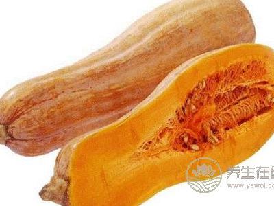 處暑養生吃什么呢?處暑養生食物有哪些?