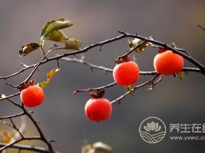 秋分吃什么水果?秋分養生的食療方有哪些?