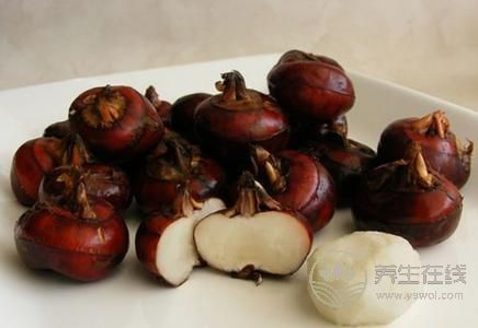 秋分吃什么傳統食物?秋分養生的注意事項有哪些?-易網健康養生網 秋分吃什么傳統食物?秋分養生的注意事項有哪些?