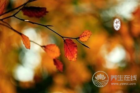 秋分是哪一天?秋分期間的天氣氣候特點是什么?-易網健康<a href=http://www.jsjjzhkt.cn/jkys/ target=_blank class=infotextkey>養生</a>網 秋分是哪一天?秋分期間的天氣氣候特點是什么?