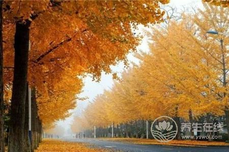 秋分是哪一天?秋分期間的天氣氣候特點是什么?-易網健康養生網 秋分是哪一天?秋分期間的天氣氣候特點是什么?