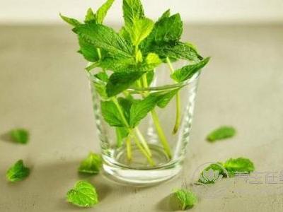 秋季吃什么降肝火?秋季怎么調理肝火?