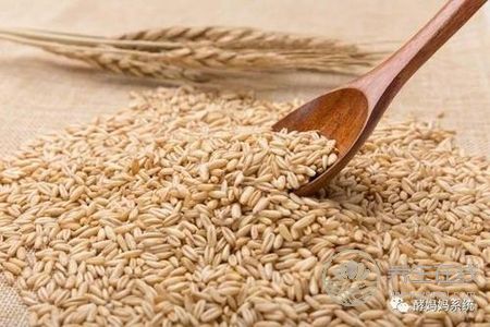 秋季祛濕吃什么?濕氣重的癥狀有哪些?