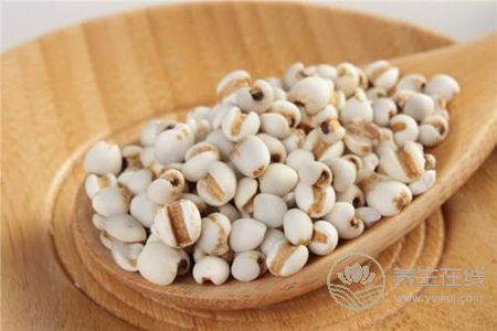 秋季養(yǎng)生吃什么粗糧呢?秋季養(yǎng)生食譜有哪些?-易網(wǎng)<a href=http://www.jsjjzhkt.cn/ target=_blank class=infotextkey>健康養(yǎng)生</a>網(wǎng) 秋季養(yǎng)生吃什么粗糧呢?秋季養(yǎng)生食譜有哪些?