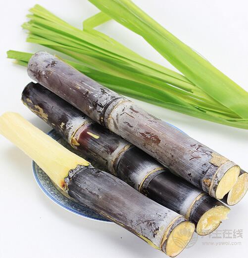 秋分進(jìn)補(bǔ)離不開(kāi)四大“寶”