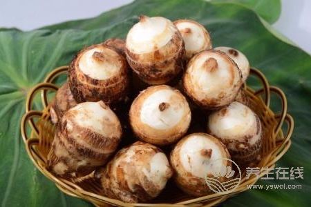 寒露養(yǎng)生吃什么菜?寒露養(yǎng)生食譜有哪些?-易網(wǎng)健康養(yǎng)生網(wǎng) 寒露養(yǎng)生吃什么菜?寒露養(yǎng)生食譜有哪些?