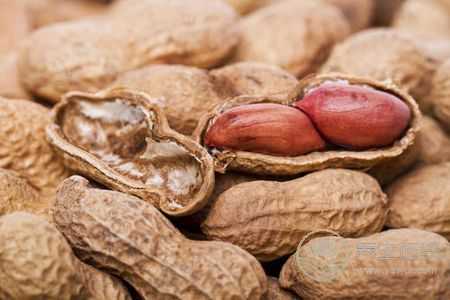 寒露吃什么食物養生?寒露時令食物有哪些?-易網<a href=http://www.jsjjzhkt.cn/ target=_blank class=infotextkey>健康養生</a>網 寒露吃什么食物養生?寒露時令食物有哪些?