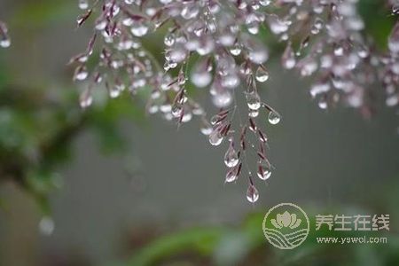 寒露的來歷是什么?寒露節(jié)氣如何養(yǎng)生?