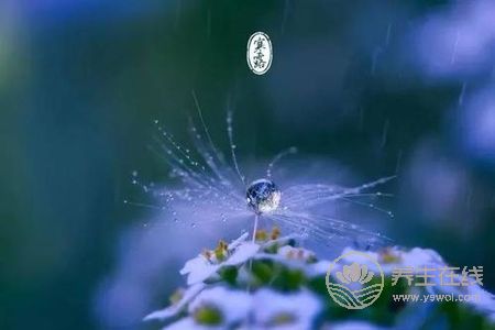 寒露的來歷是什么?寒露節(jié)氣如何養(yǎng)生?