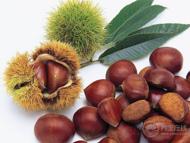 秋冬換季之時食用栗子進補尤為適宜-易網健康養(yǎng)生網 秋冬換季之時食用栗子進補尤為適宜