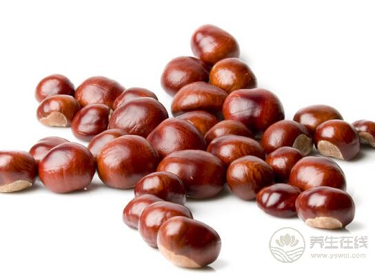 秋冬換季之時食用栗子進補尤為適宜-易網健康<a href=http://www.jsjjzhkt.cn/jkys/ target=_blank class=infotextkey>養(yǎng)生</a>網 秋冬換季之時食用栗子進補尤為適宜