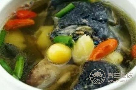 霜降養(yǎng)生食材有哪些?霜降吃白果燉烏雞好嗎?-易網(wǎng)健康養(yǎng)生網(wǎng) 霜降養(yǎng)生食材有哪些?霜降吃白果燉烏雞好嗎?