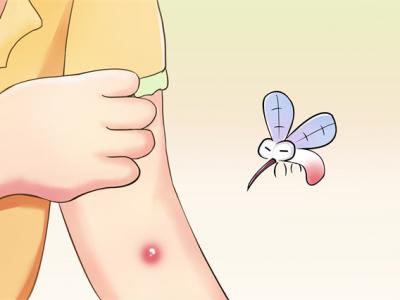 蚊蟲叮咬的危害，夏天怎么避免蚊蟲叮咬？