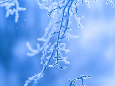 12月應季的水果蔬菜有哪些?12月養生你要知道這些