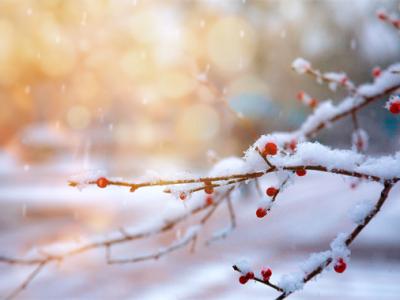 一到冬天皮膚就癢癢的,該如何應對呢?