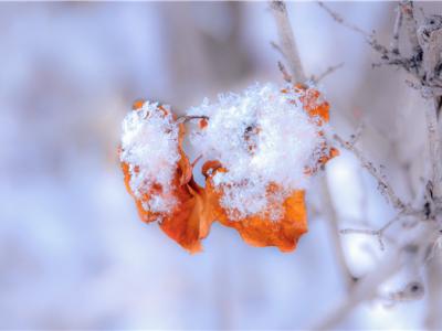 下雪天會被曬黑嗎？下雪也要注意防曬