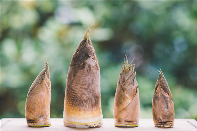 春天吃什么食物對身體好?春天的養(yǎng)生方法-易網(wǎng)健康養(yǎng)生網(wǎng) 春天吃什么食物對身體好?春天的養(yǎng)生方法