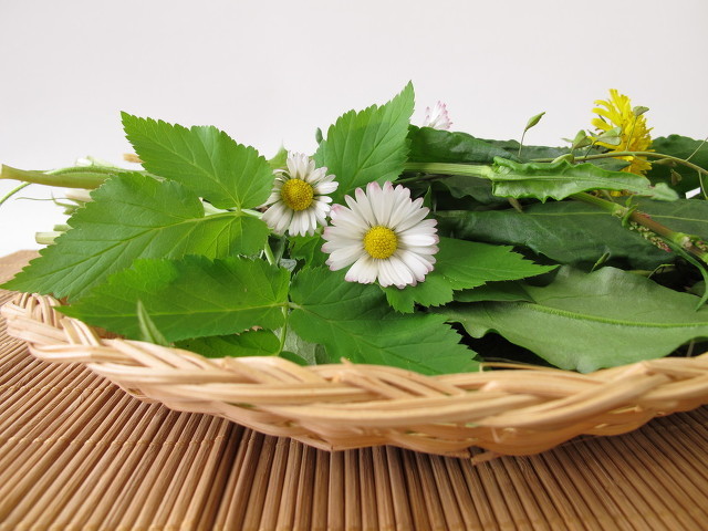 春季最值得吃的幾種野菜,錯過就只能再等一年-易網(wǎng)健康<a href=http://www.jsjjzhkt.cn/jkys/ target=_blank class=infotextkey>養(yǎng)生</a>網(wǎng) 春季最值得吃的幾種野菜,錯過就只能再等一年