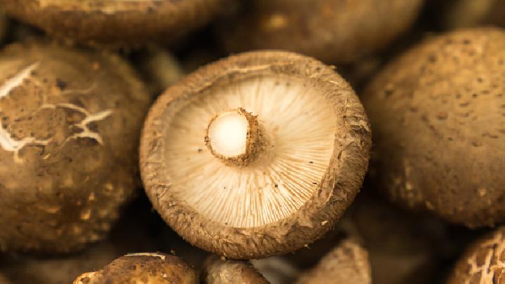 老人養胃有哪些小竅門 理老人脾胃的三款食療方推薦